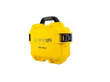 Briggs and Stratton LG-287-12-EK